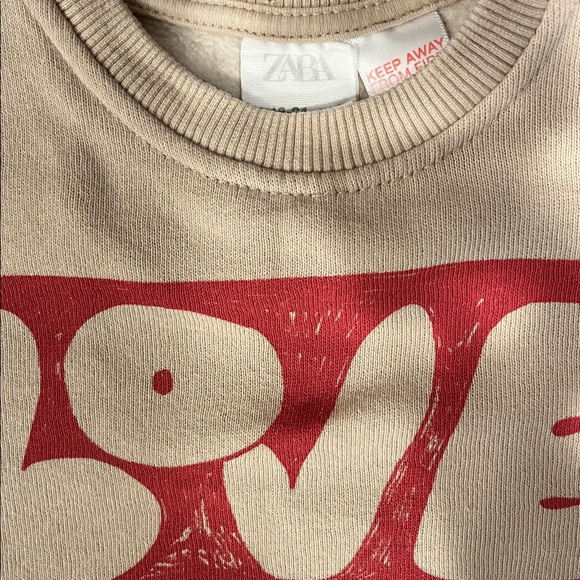 NWOT Zara Toddler Crewneck - Picture 2 of 4